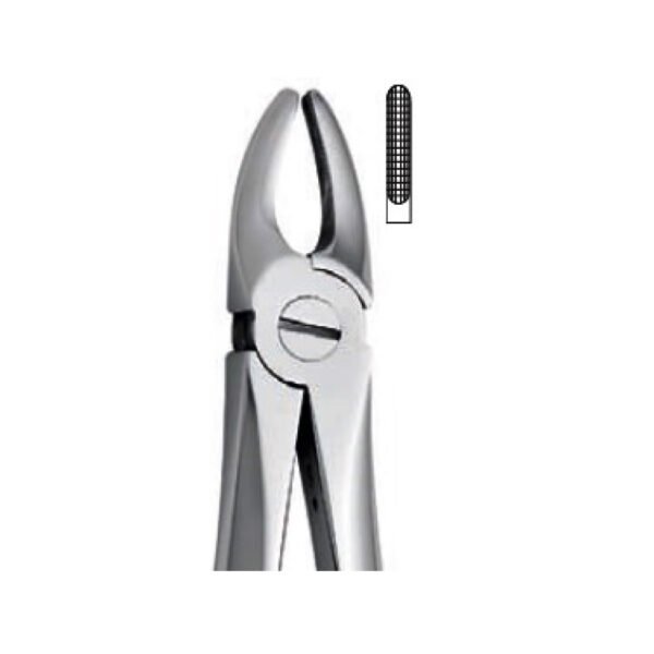 Extraction Forceps
