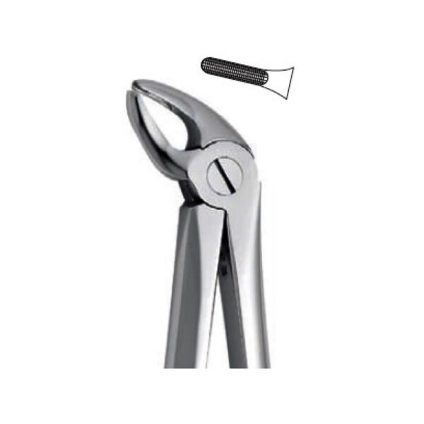 Extraction Forceps