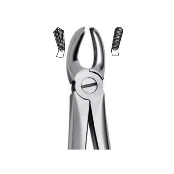 Extraction Forceps
