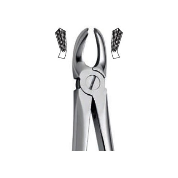Extraction Forceps