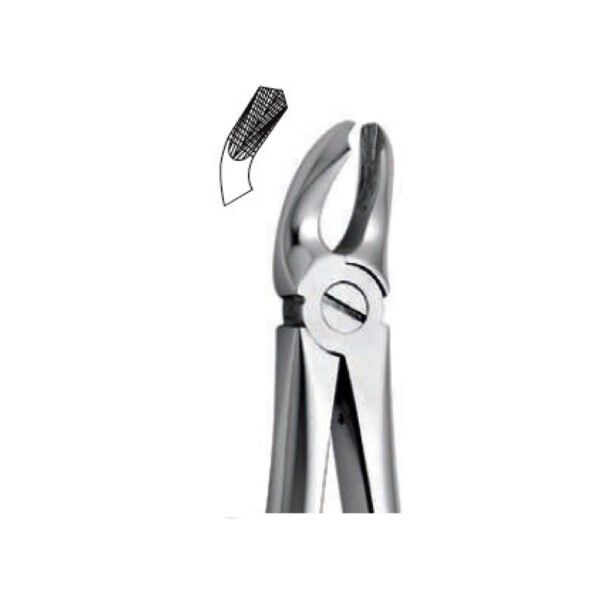Extraction Forceps