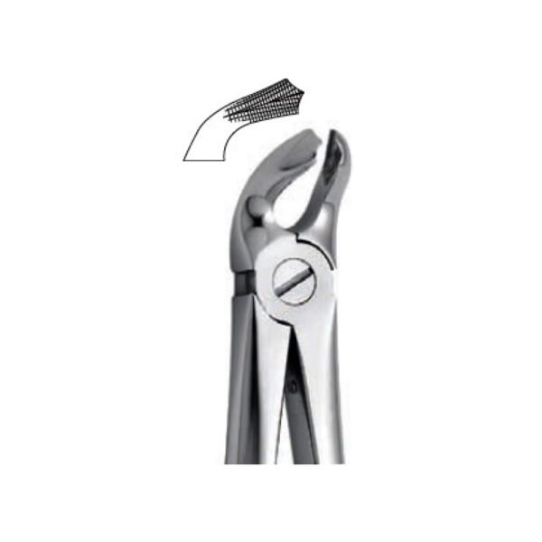 Extraction Forceps